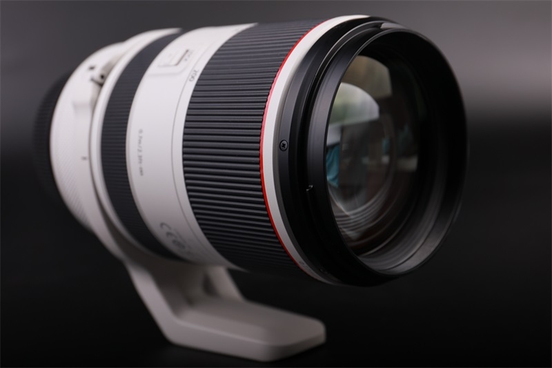 Canon RF70-200MM F2.8 L IS USM Lens Review